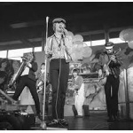 bonzo