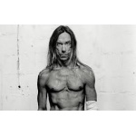 iggy