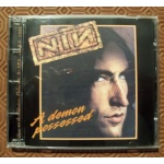 nin_1