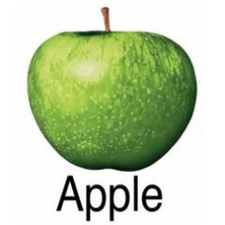 apple_records
