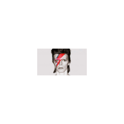 david