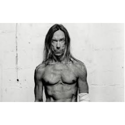 iggy