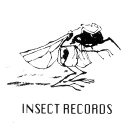 insect