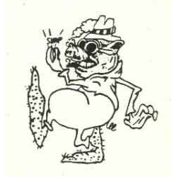 pig