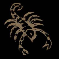 scorpio_1652050471