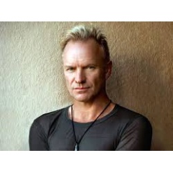 sting