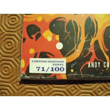 100_8500