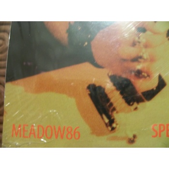 met_11