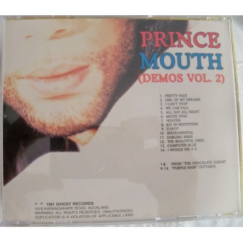 prince_demos_6