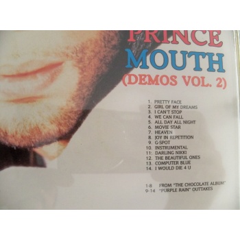 prince_demos_7